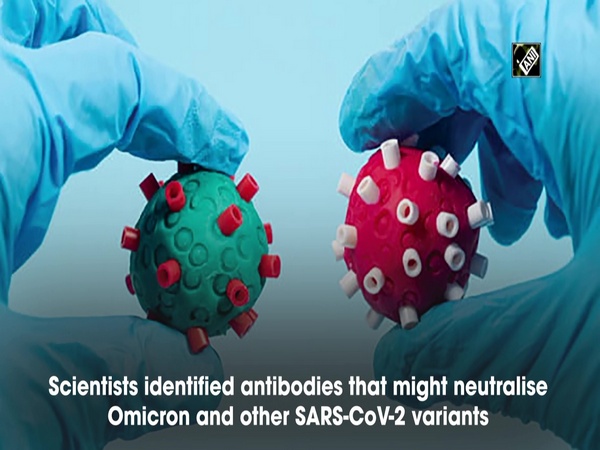 Scientists identify antibodies that might neutralise Omicron