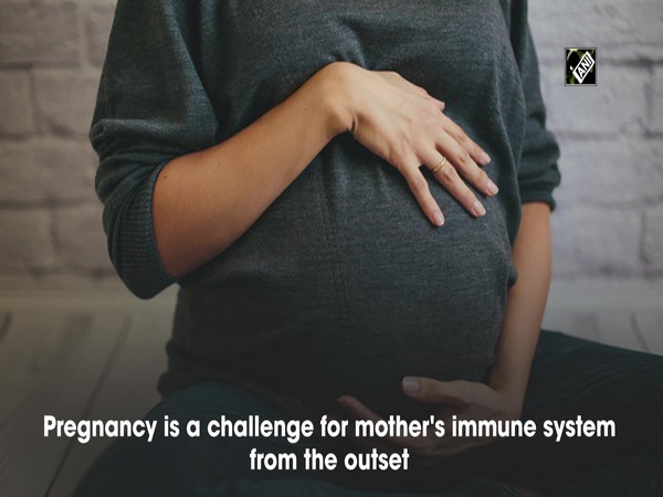 Immune system can detect disease during pregnancy: Study