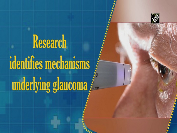 Research identifies mechanisms underlying glaucoma