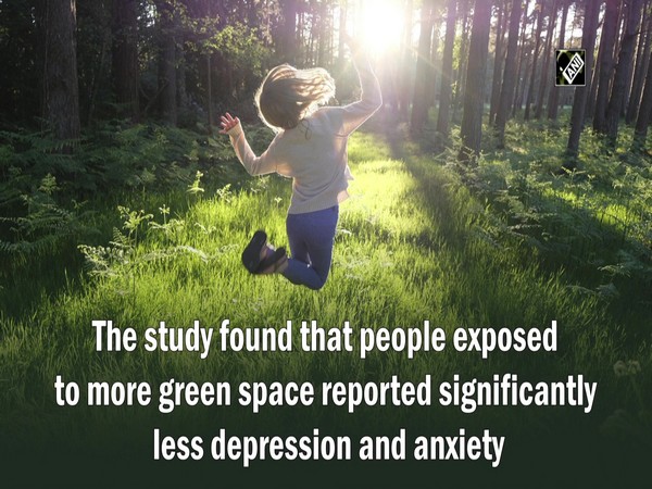 Study finds positive mental health effect of green outdoors during pandemic
