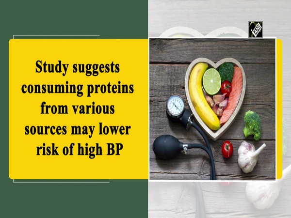 Study suggests consuming proteins from various sources may lower risk of high BP