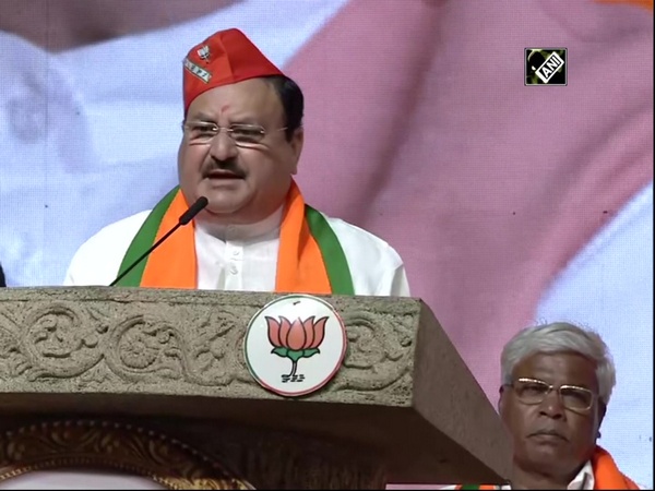 Attack on religious processions designed way to divide country: JP Nadda