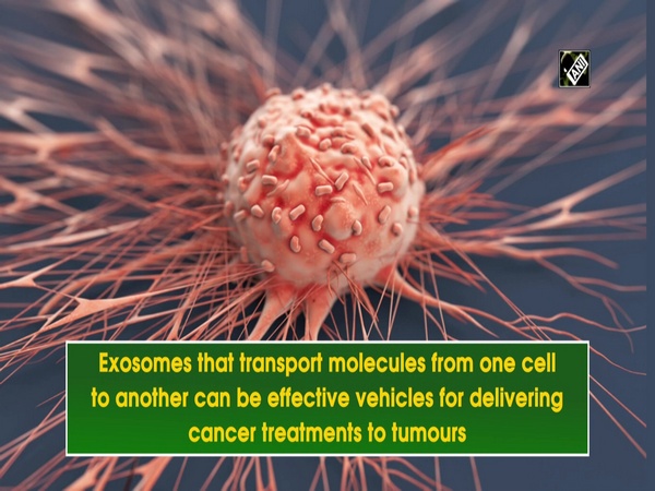 Cellular exosomes might improve delivery of anticancer drugs to tumours: Research