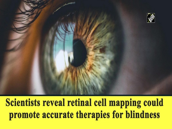 Scientists reveal retinal cell mapping could promote accurate therapies for blindness