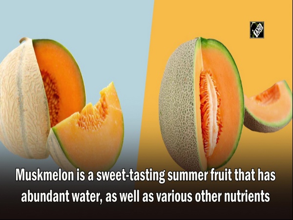 Health Benefits of Muskmelon: 4 Reasons to Eat This Summer Fruit Every Day