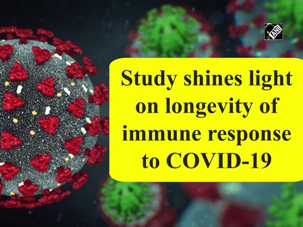 Study shines light on longevity of immune response to COVID-19