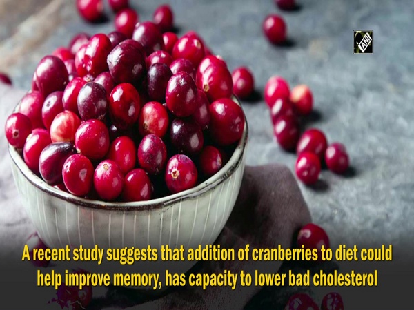 Cranberries could improve memory and beat back dementia: Study