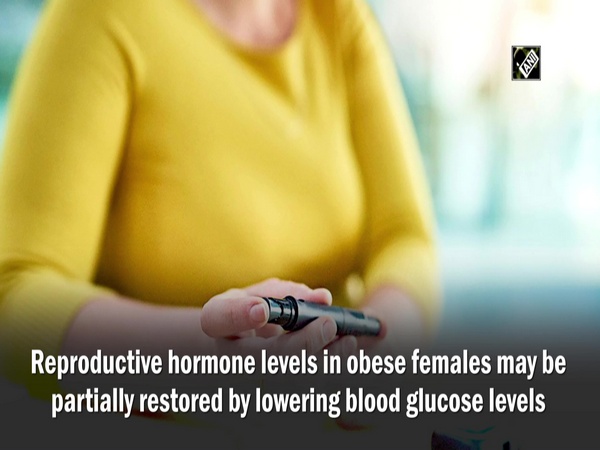 Research: Correcting blood sugar levels can improve obesity-related fertility issues
