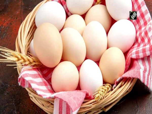 Research suggests heart-healthy metabolites in blood can be increased by eating eggs in moderation
