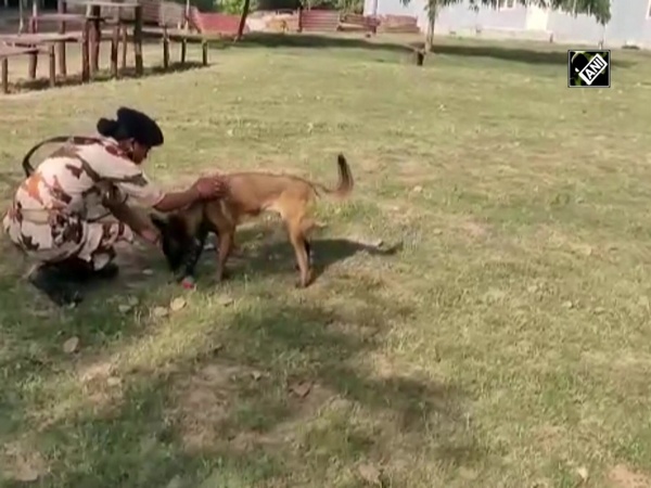 Haryana: ITBP deploys Women personnel for training of dogs in Panchkula