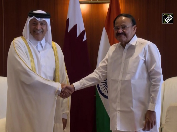 VP Naidu meets Speaker of Qatar Shura Council in Doha