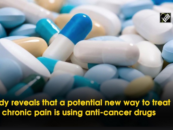 Potential new way to treat chronic pain is using anti-cancer drugs: Study