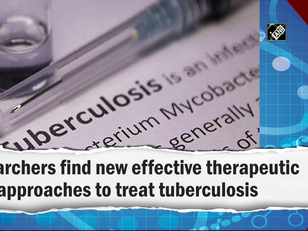 Researchers find new effective therapeutic approaches to treat tuberculosis