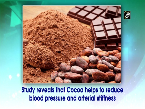 Cocoa helps to reduce blood pressure and arterial stiffness, researchers reveal