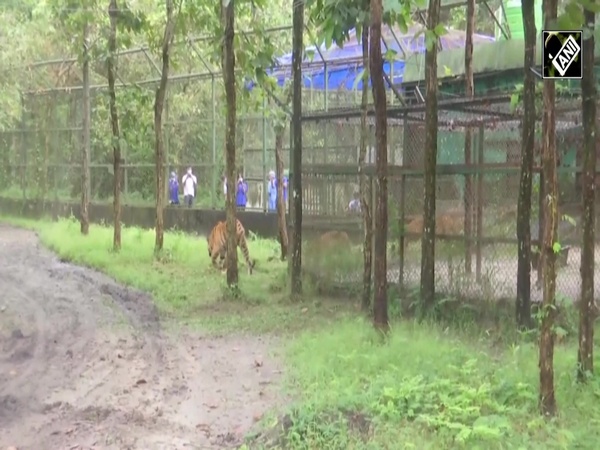 WB: Four tiger cubs released in Bengal Safari park near Siliguri