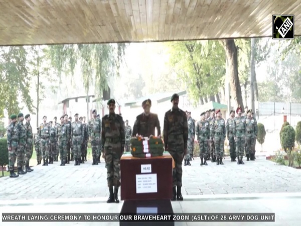Army officers lay wreath on mortal remains of Army Assault Canine ‘Zoom’