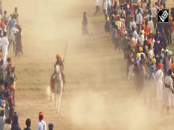 Punjab: Nihang Sikhs demonstrate their horse riding skills during 'Bandi Chhor Diwas' celebrations
