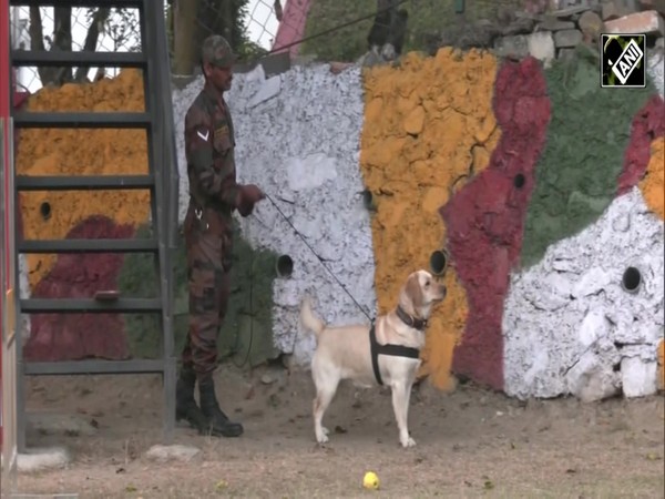 J&K: Canine warriors of Indian Army being trained to carry out search operations & attack terrorists