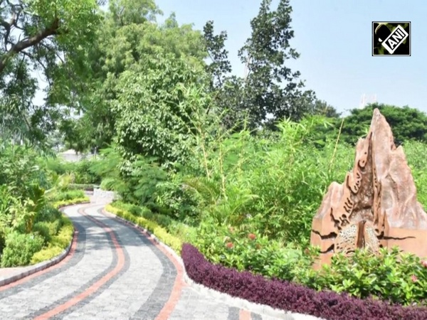 First look at the gorgeous Japanese inspired Miyawaki forest at the Statue of Unity complex