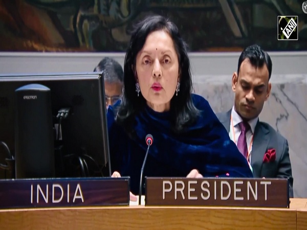 Israel-Palestine issue: “No alternative to Two-State solution…” India at UNSC reiterates its stance