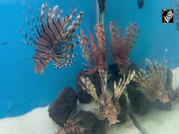 Underwater tunnel aquarium setup with 500 varieties of fish in Visakhapatnam