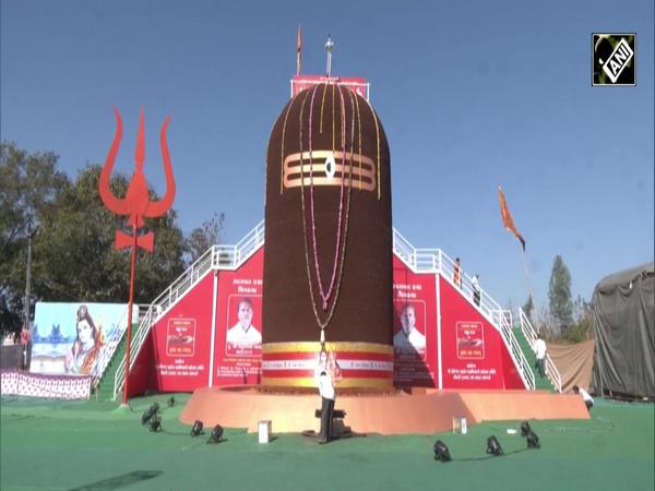 Gujarat: 31.5 ft long Shivling made of 31 lakh Rudraksh unveiled in Dharampur