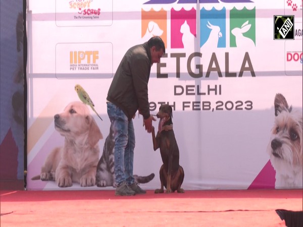UP: Pet Gala Event for pets organised in Noida