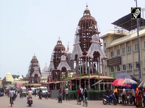 Odisha: Chariot preparations in full swing in Puri for Jagannath Rath Yatra