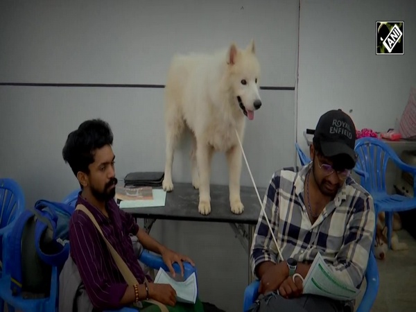 Tamil Nadu: Dog show organised in Madurai, over 50 dog breeds participate