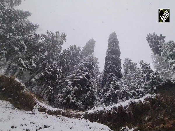 J&K: Fresh snowfall in Bhaderwah area of Doda district attracts tourists