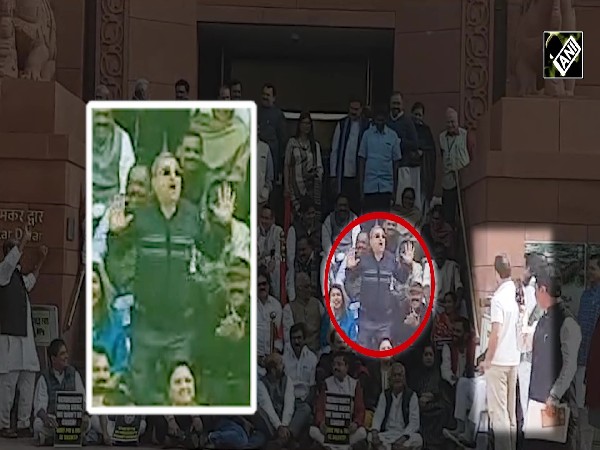 Suspended TMC MP Kalyan Banerjee mimics RS Chairman Jagdeep Dhankhar, Rahul Gandhi films video