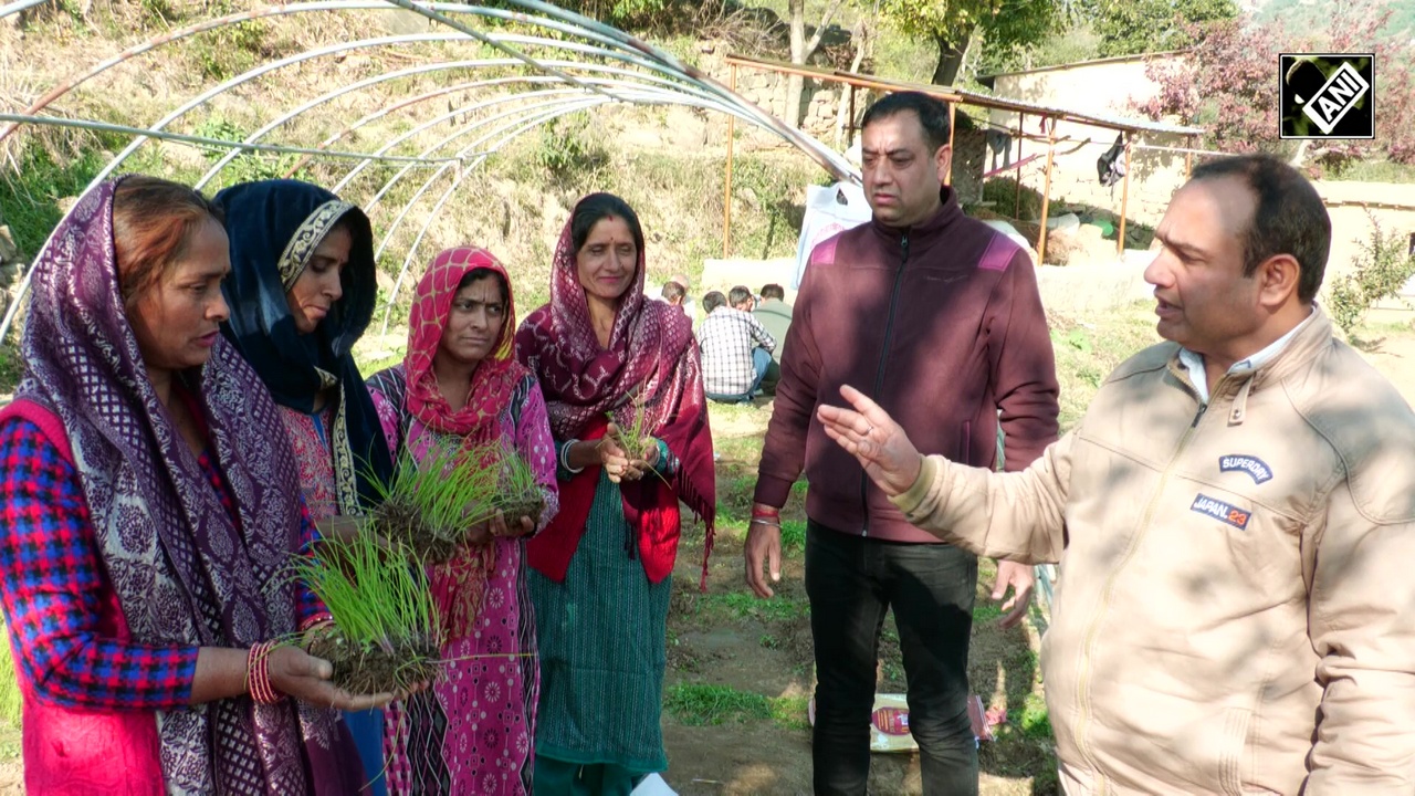 J&K: Farmer in Udhampur establishes hybrid onion seedling for the first time