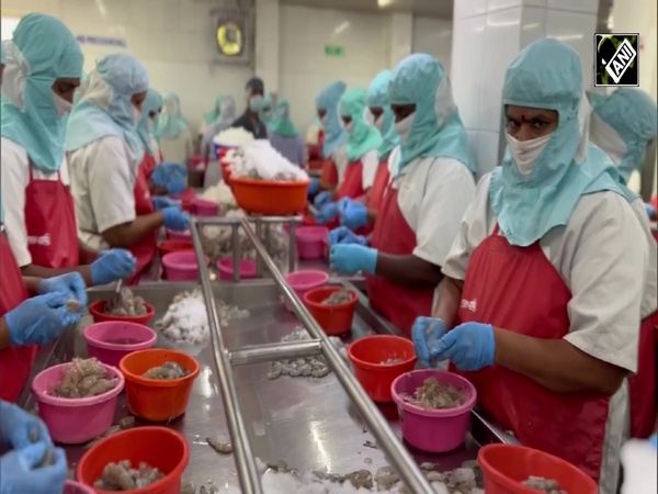 Andhra: Shrimp and seafood processing providing better income, employment opportunities for women