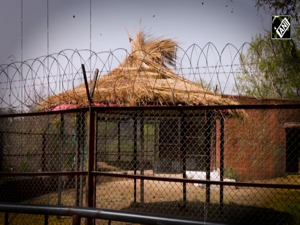 Ice cream, coolers, and more at Nahargarh Biological Park to protect animals from heat
