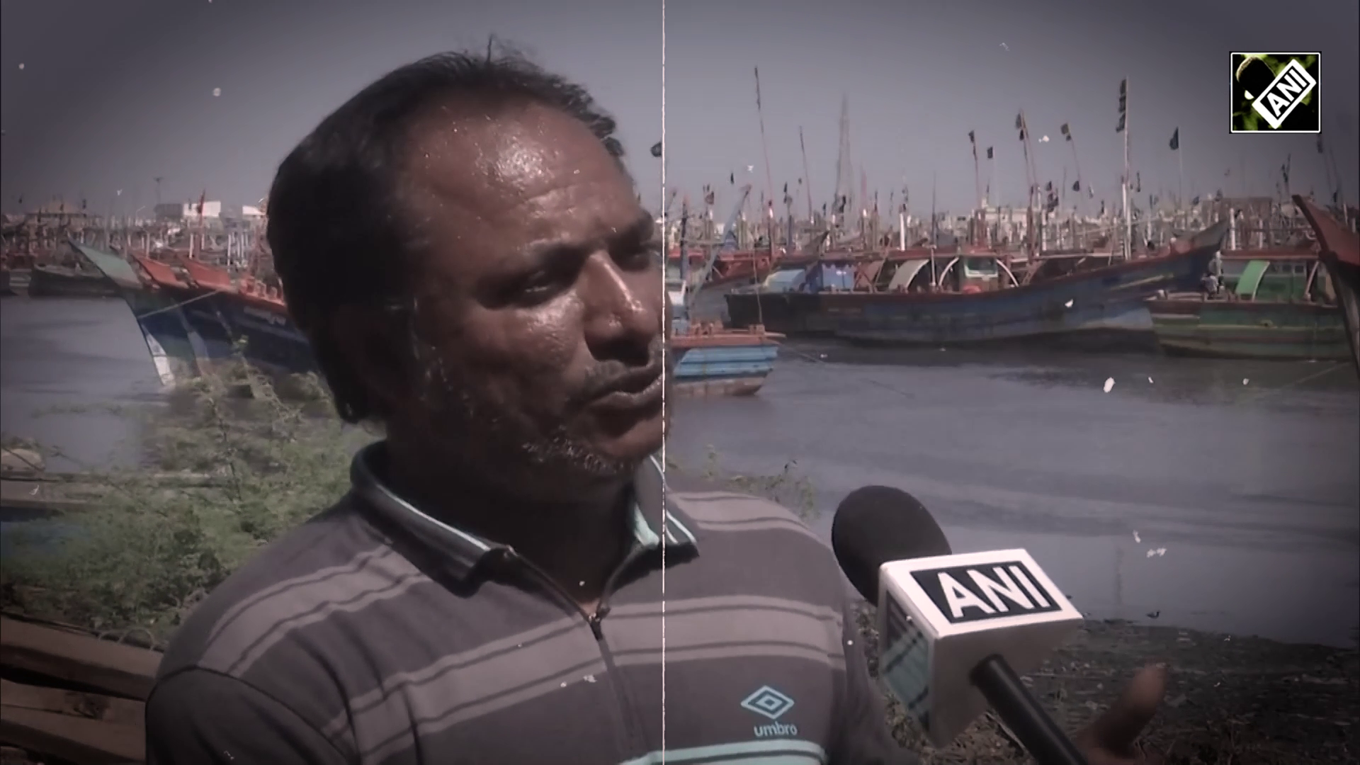 ‘Facing stiff competition from Pak fishermen,’ Veraval fish industry stakeholders demand reforms