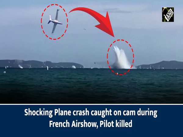 Shocking Plane crash caught on cam during French Airshow, Pilot killed