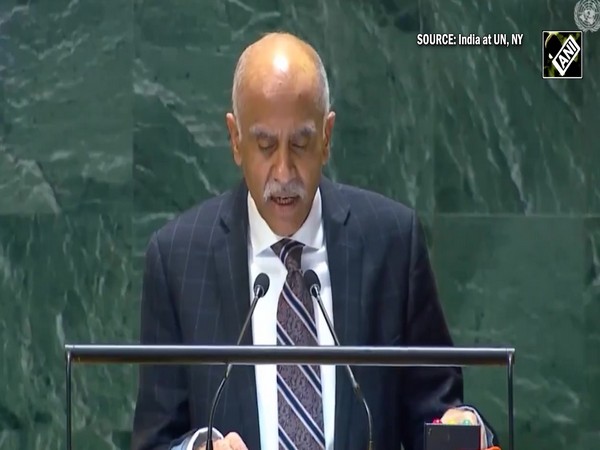 India’s permanent representative to the UN addresses security council matters