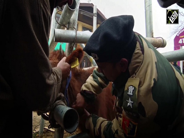 J&K: BSF organises veterinary camp in Budgam