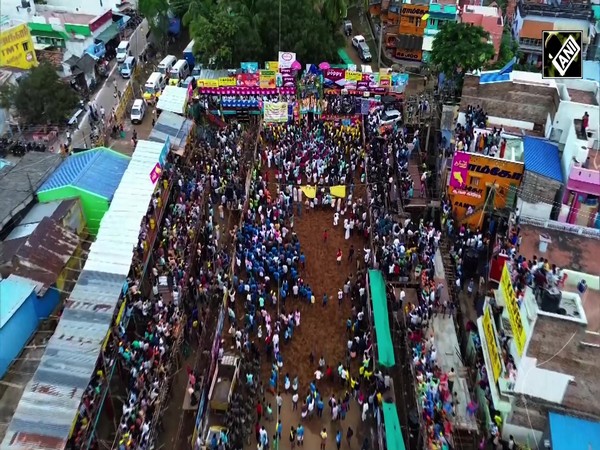 Tamil Nadu: Bull-tamers try to grab and hang on to bull in traditional sport Jallikattu | Pongal