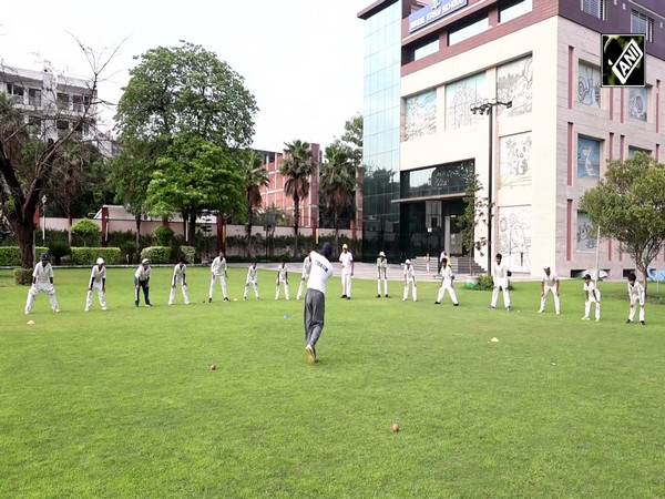 Inside Blades of Glory: The Ultimate Cricket Treasure Trove