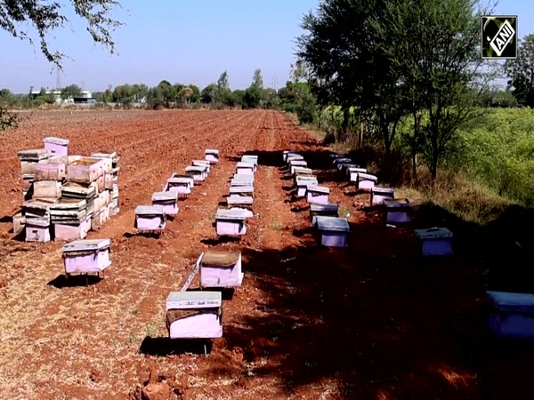 Mission Madhumakhi: Empowering Farmers, Transforming Beekeeping in Gujarat