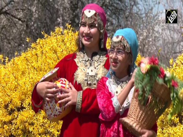 Mesmerising beauty of almond blossoms stuns tourists in historical Srinagar’s Badam Vaer Garden