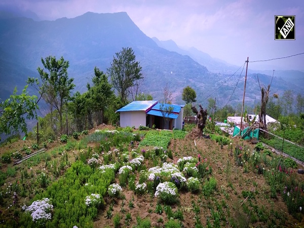 Manipur youth lead the way in organic farming