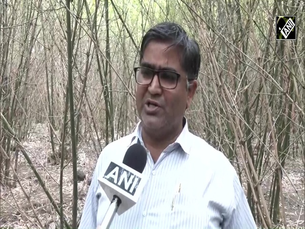 Nagpur based Scientist Dr. Lal Singh turns 1,500 hectares of toxic fly ash land into a bamboo forest