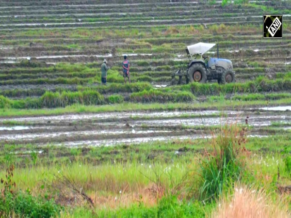 Life restarts in Manipur’s conflict-hit villages through farming