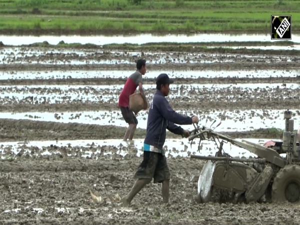 Manipur’s rural economy withers as fields remain inaccessible