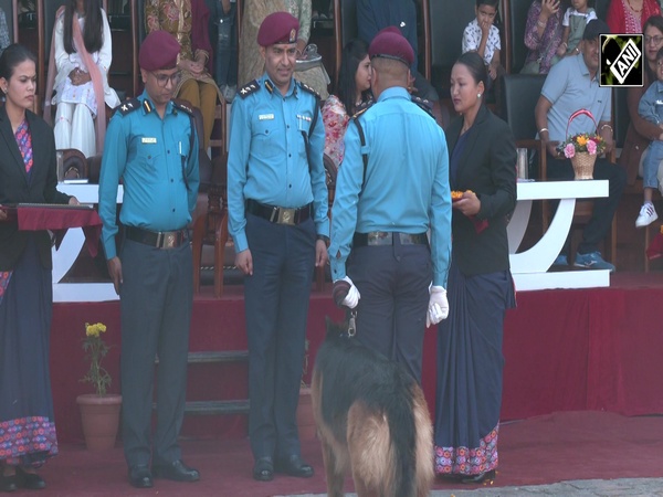 KukurTihar: Dogs celebrate VIP Treatment in Nepal