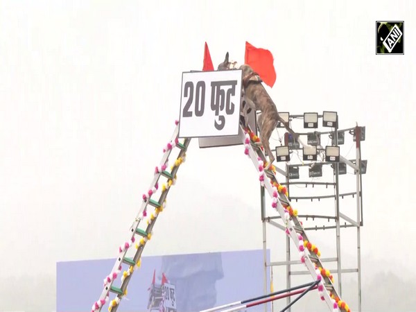 BSF, CRPF, CISF and other forces perform full dress rehearsals in Kevadia ahead of Rashtriya Ekta Diwas