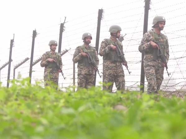 BSF heightens vigil along Jammu IB ahead of New Year amid fog and harsh winter conditions