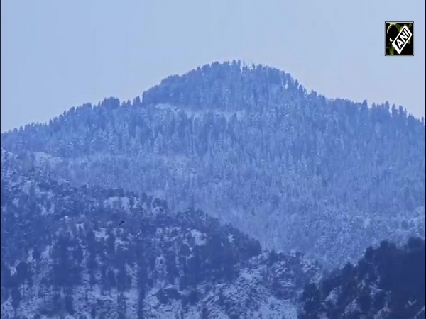 Manali, Srinagar, Shimla drape in snow after first major fall of season, turn into winter wonderland